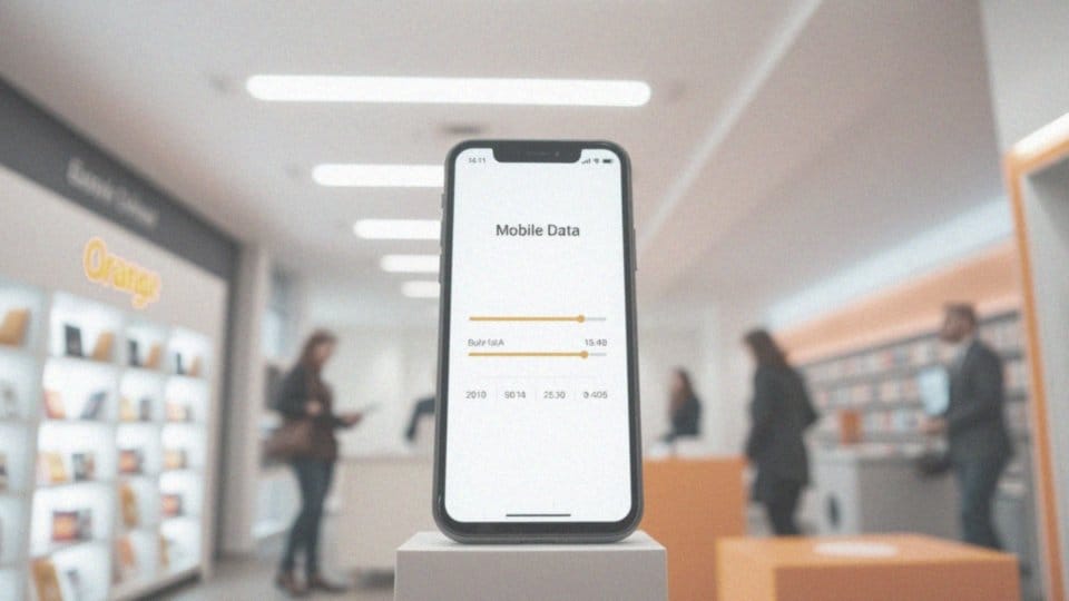 Co to są elastyczne pakiety internetowe?