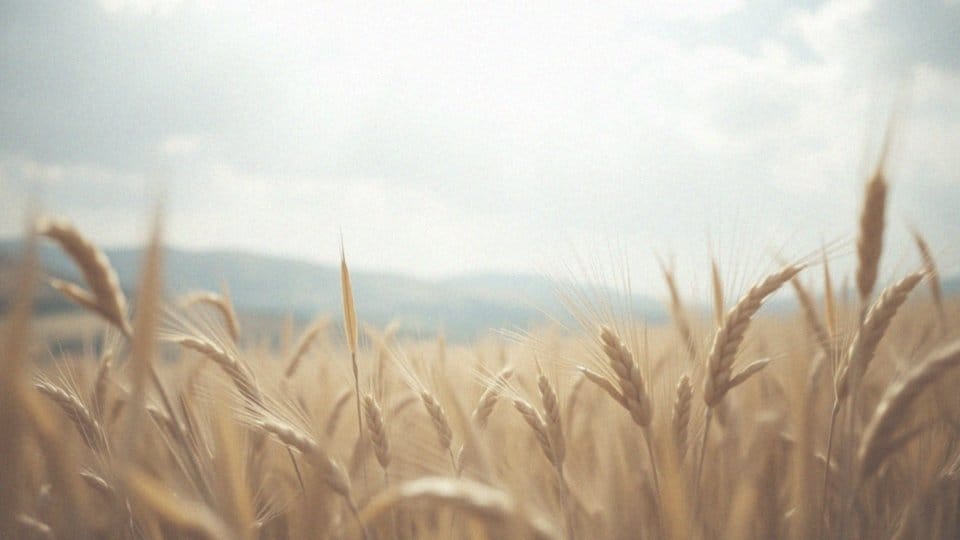 Jelito cienkie funkcje – kluczowe role w trawieniu i wchłanianiu