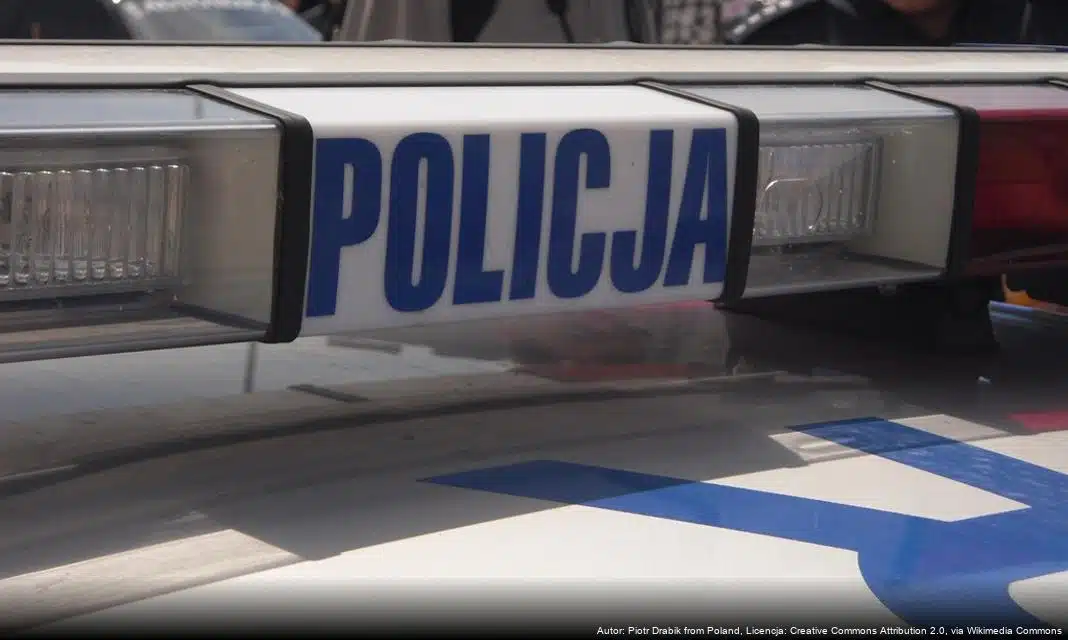 Obowiązek usuwania lodu i śniegu z pojazdów w zimie