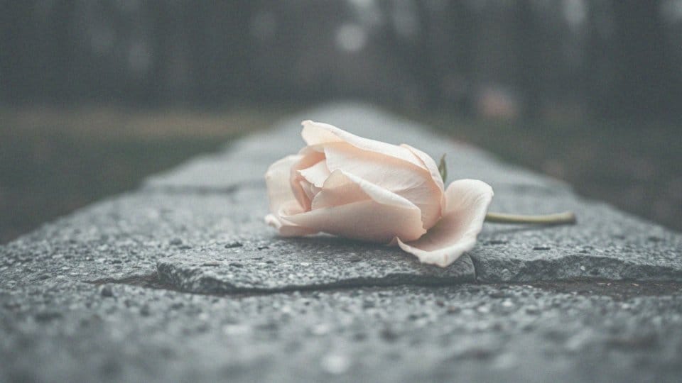 Na czym polega anoreksja? Objawy, przyczyny i leczenie